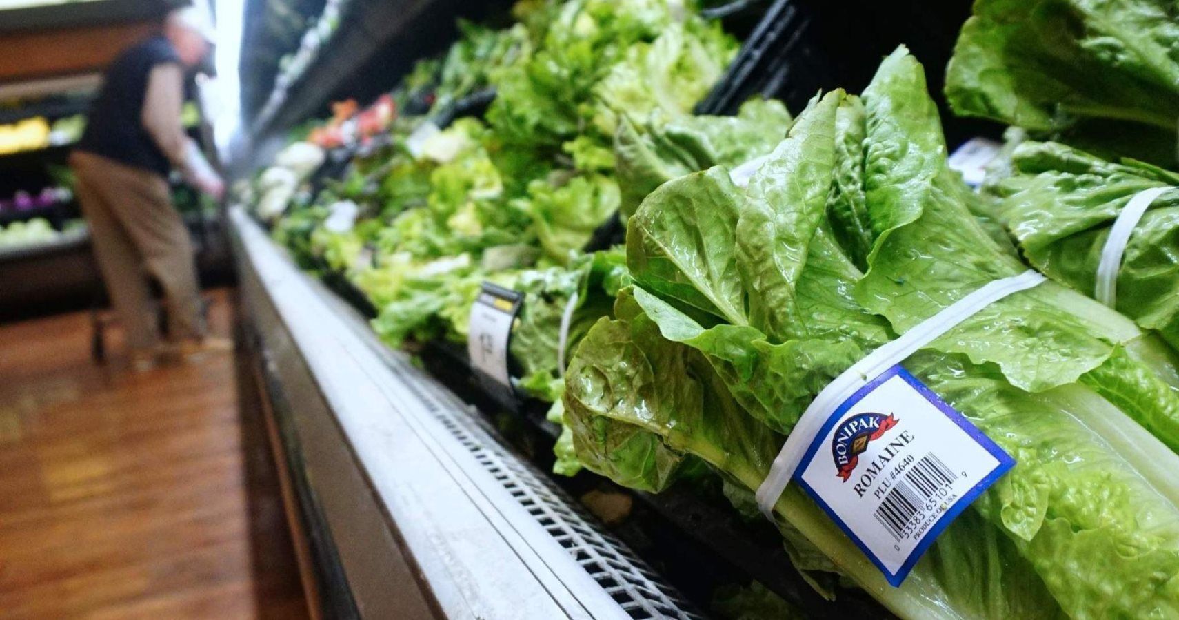 USDA Outbreak Alert Avoid All Romaine Lettuce Until You Hear Otherwise