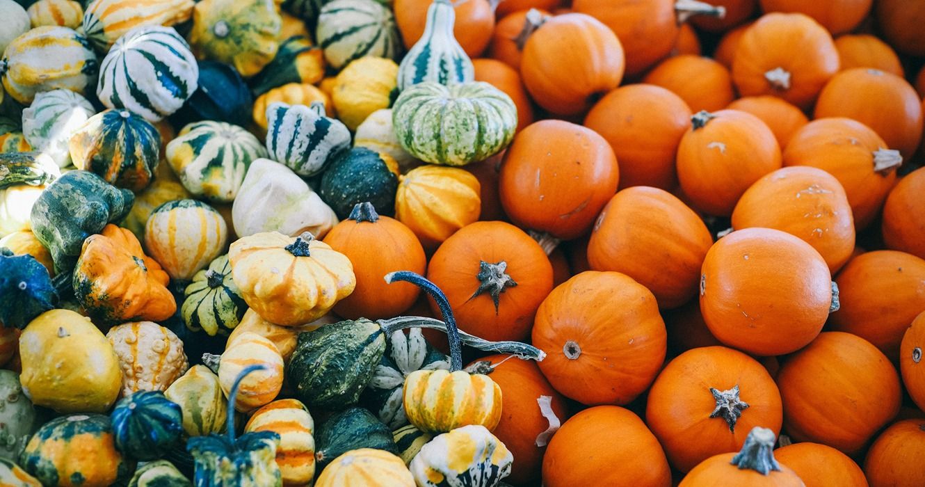 these-10-fruits-and-vegetables-are-in-season-during-fall